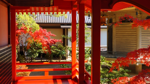 大覚寺の霊明殿と綺麗な見頃の紅葉 11月