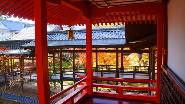 美しい紅葉につつまれた大覚寺の霊明殿