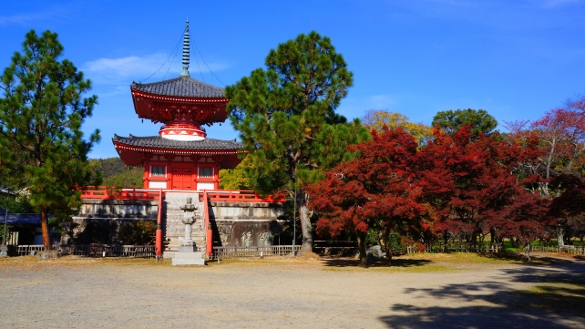 大覚寺の心経宝塔と見ごろの紅葉