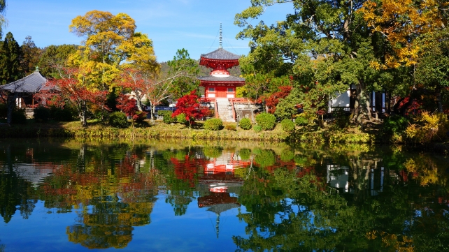 大覚寺の心経宝塔と放生池と見ごろの赤い紅葉