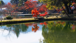 大覚寺の大沢池・放生池と紅葉