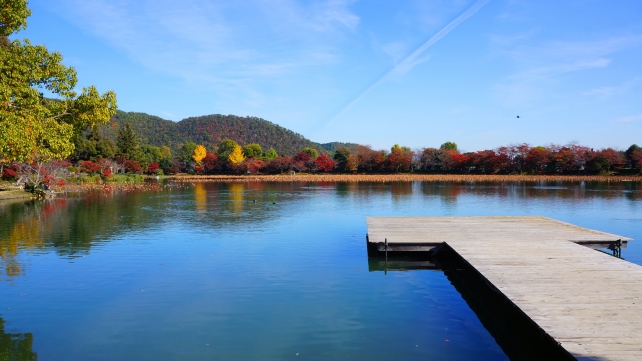 紅葉に染まった大覚寺の大沢池と青い空