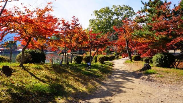 紅葉の時期の大覚寺の大沢池の景色