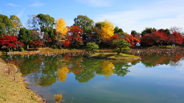 大覚寺の大沢池の見頃の紅葉と銀杏の黄葉