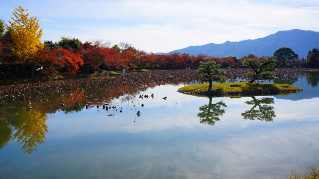 大覚寺の綺麗な水鏡の大沢池と見ごろの紅葉