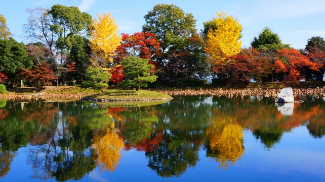 大覚寺の青い空の映った大沢池の見ごろの紅葉と銀杏