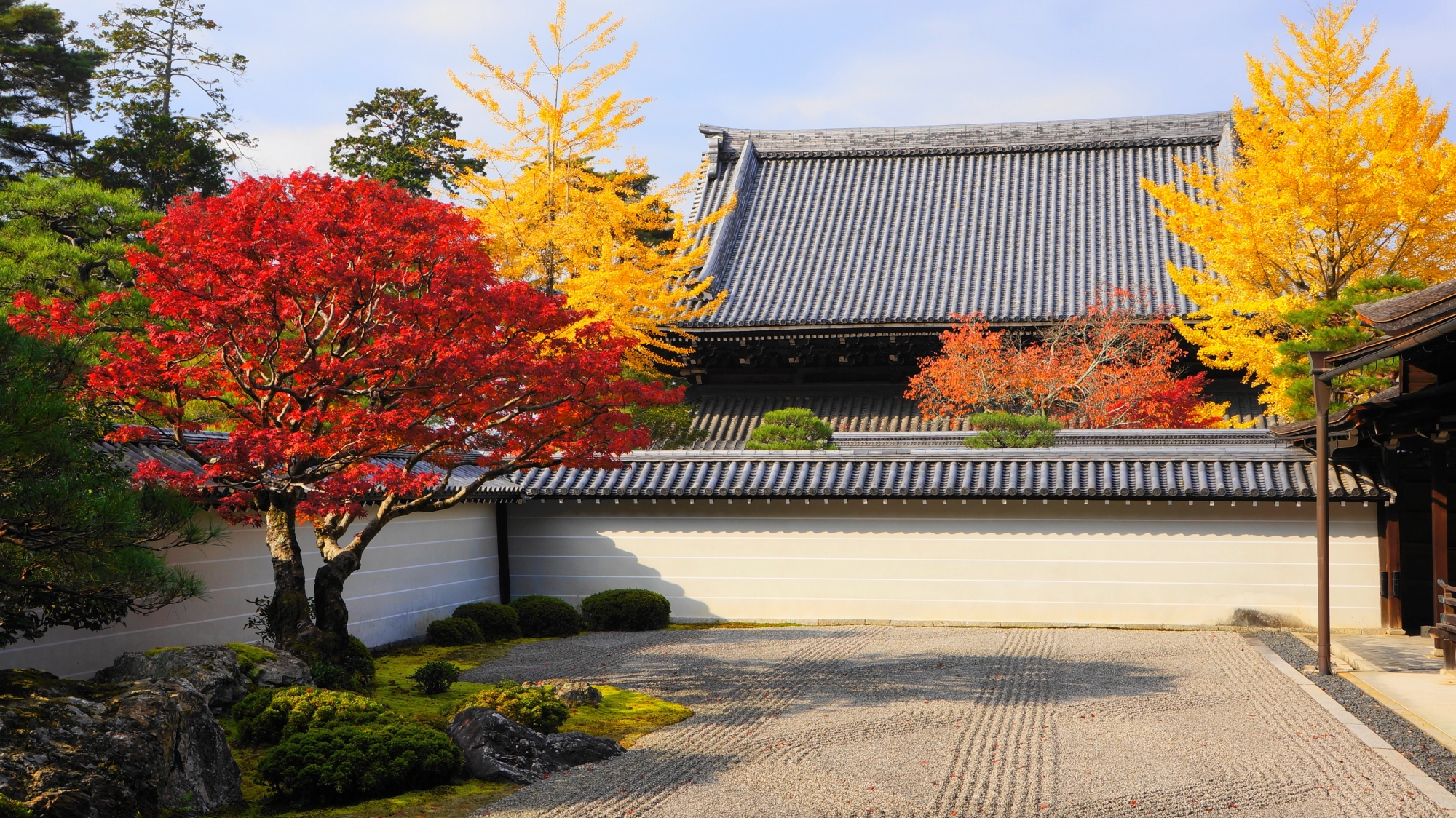 秋の南禅寺方丈庭園を彩る煌く紅葉と銀杏の赤色と黄色
