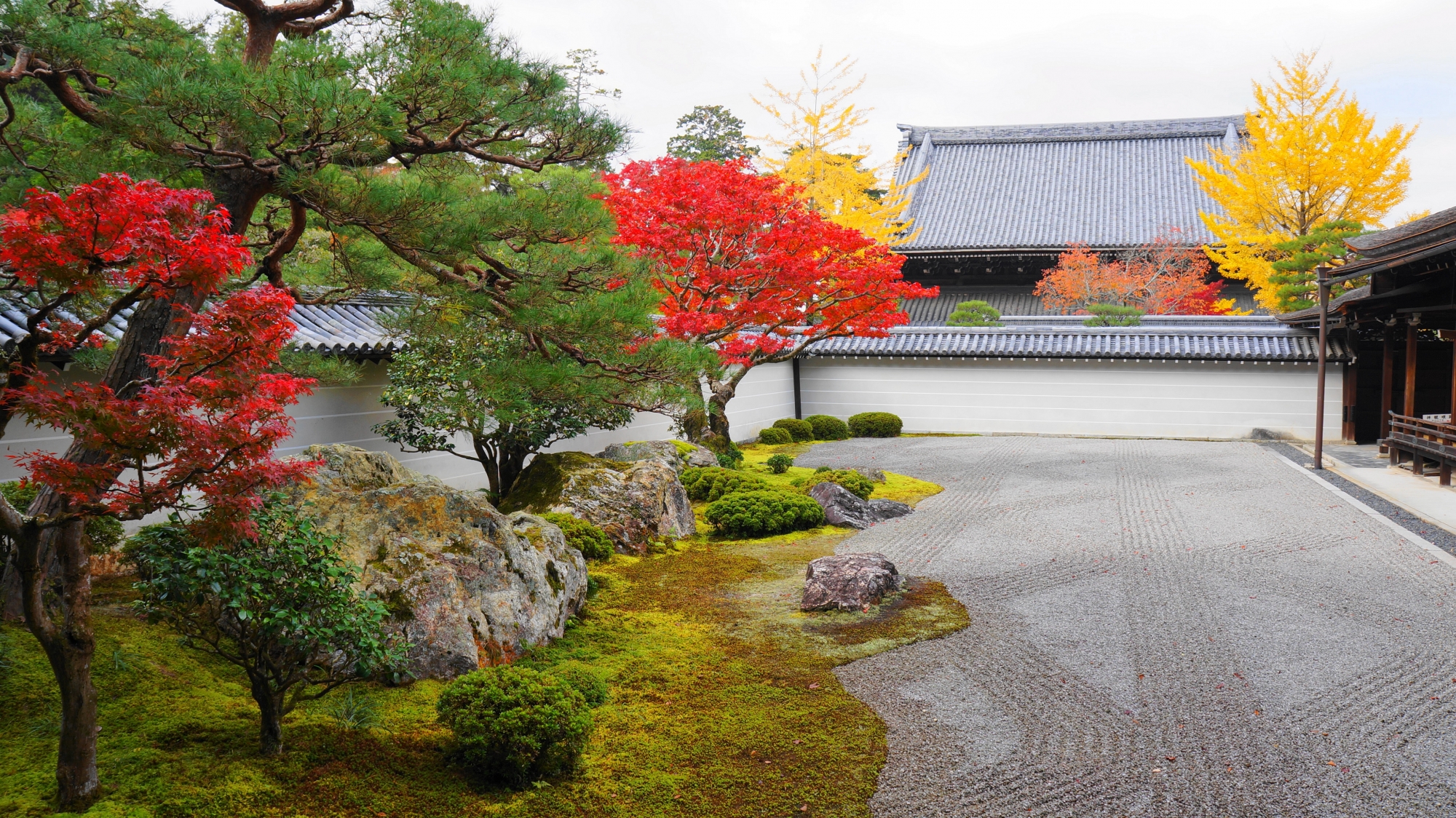 艶やかに染まった上品な秋の南禅寺方丈庭園