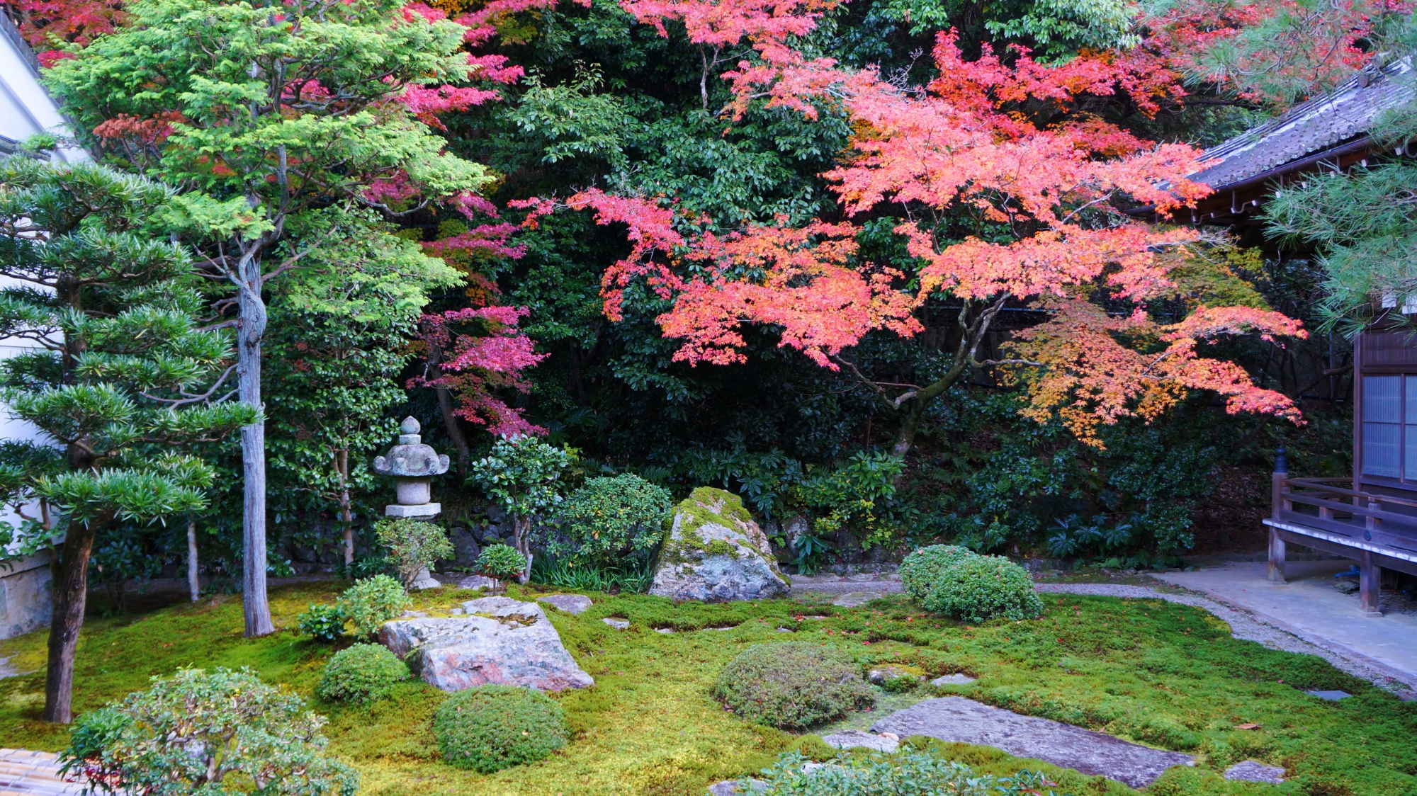 南禅寺方丈の還源庭の紅葉