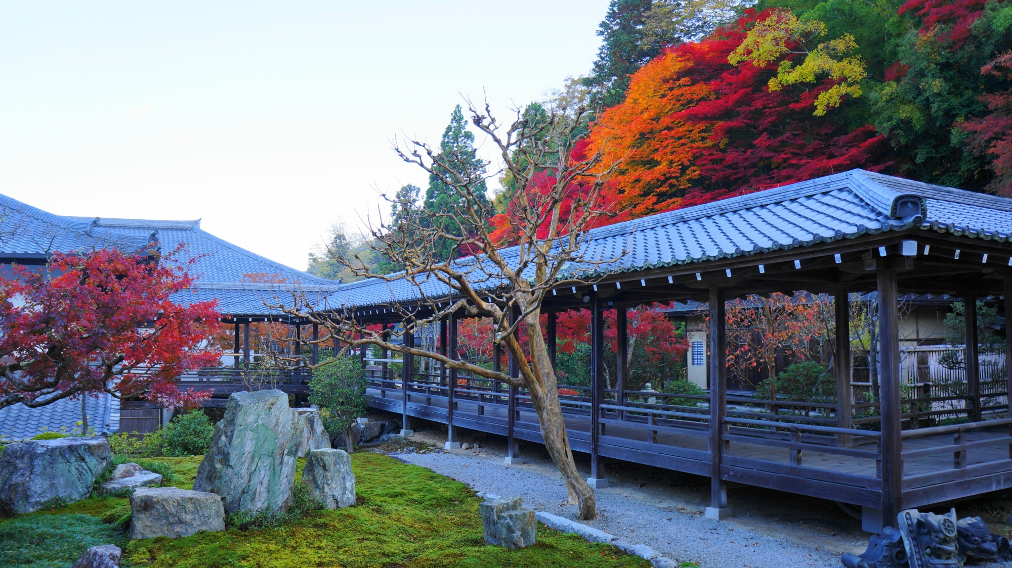 南禅寺の方丈六道庭の紅葉