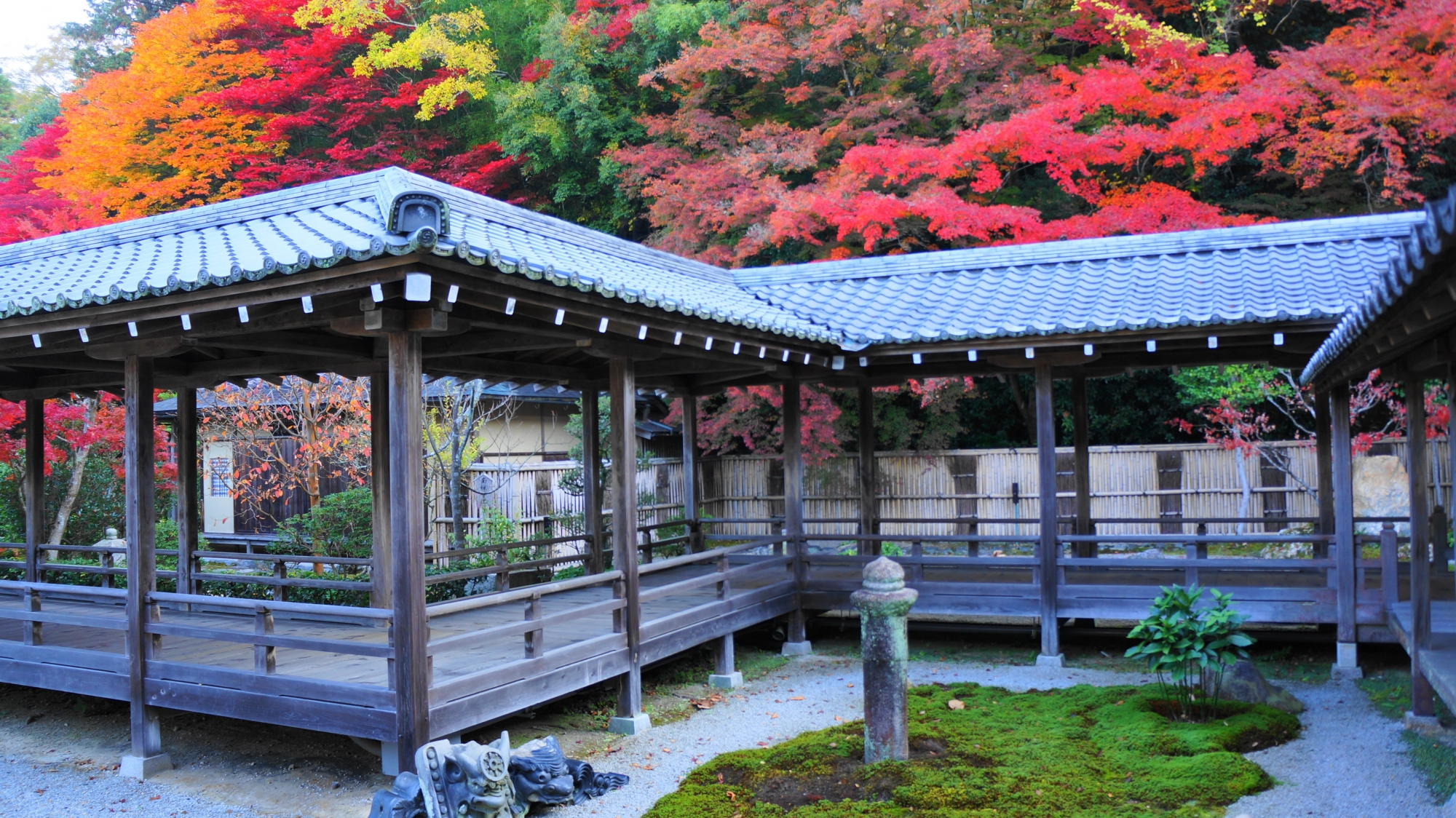 いろんな場所や角度から多彩な秋色と風情を楽しめる南禅寺方丈