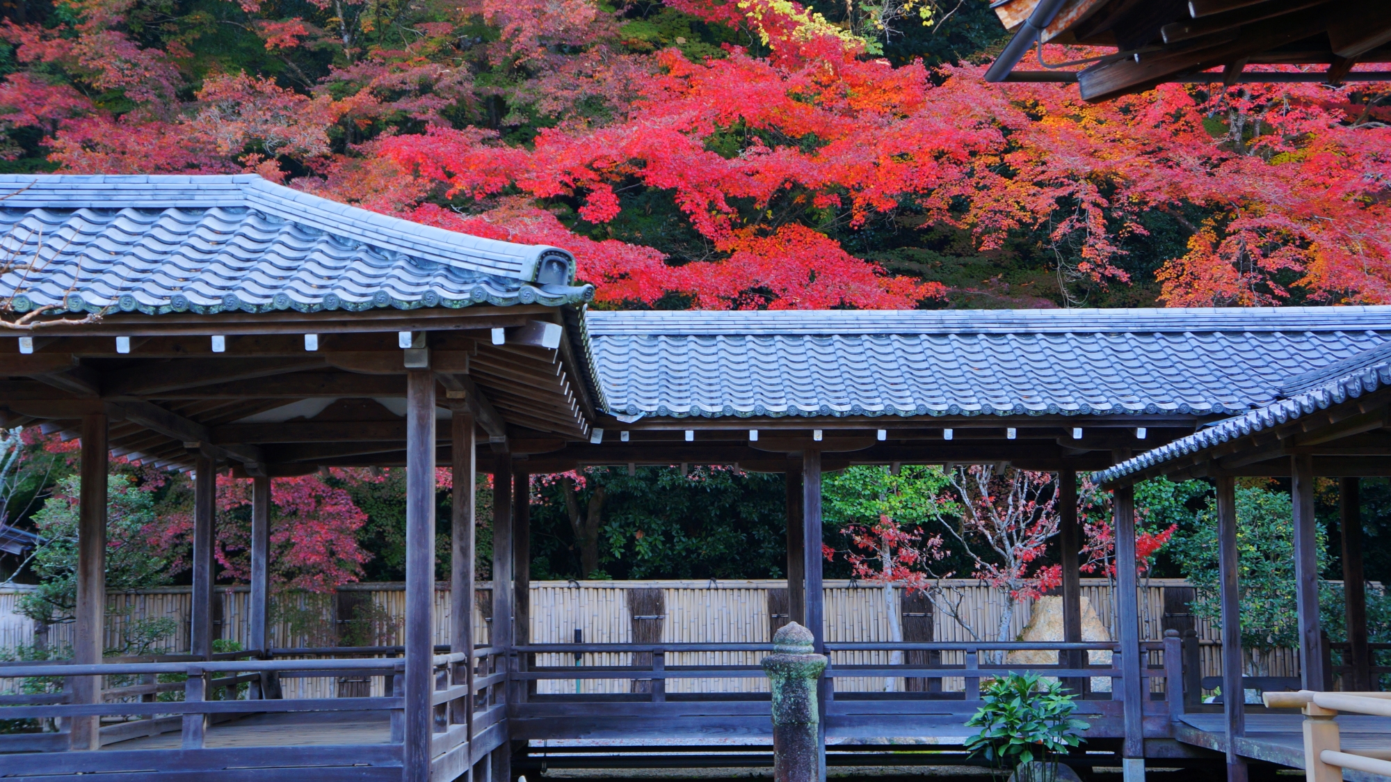 見事な彩りにつつまれる秋の南禅寺方丈六道庭