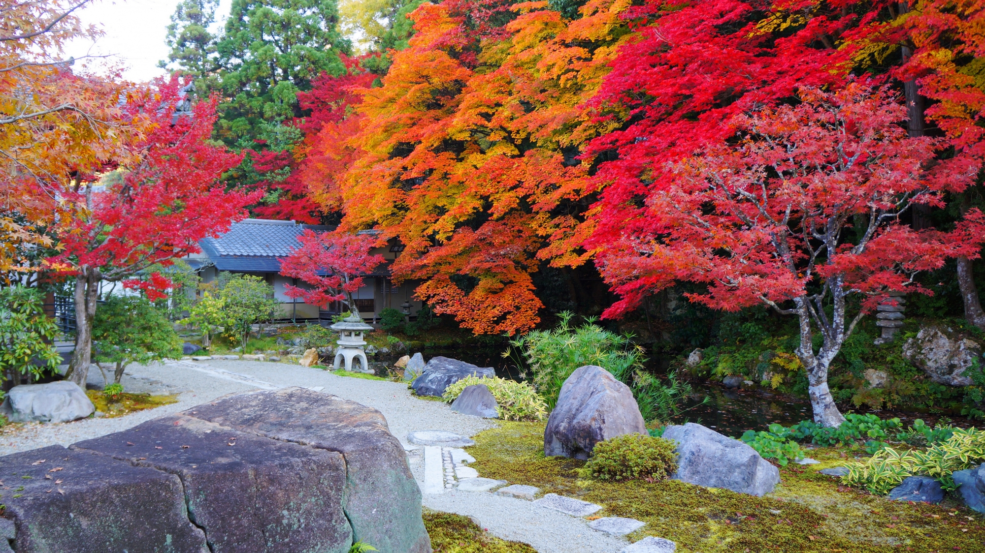 南禅寺方丈の素晴らしすぎる紅葉と秋の情景