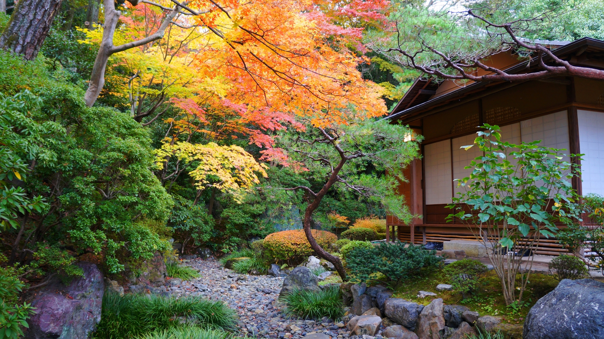 友禅苑の庭園奥にある白寿庵と紅葉