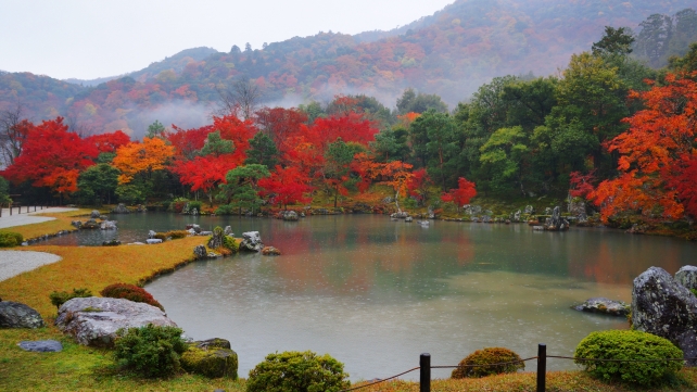 天龍寺の曹源池庭園と見頃の紅葉