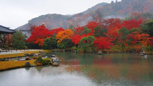 天龍寺の曹源池庭園と見ごろの美しい紅葉