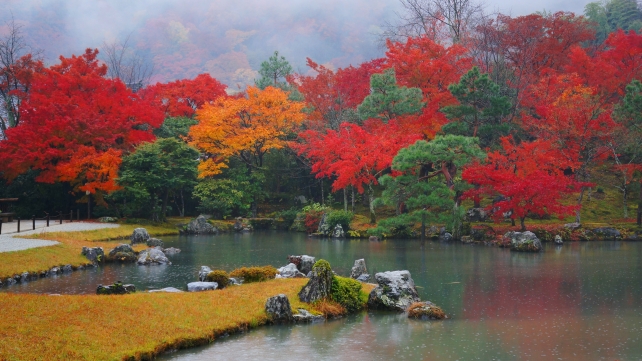 天龍寺の曹源池庭園と見頃の紅葉と靄