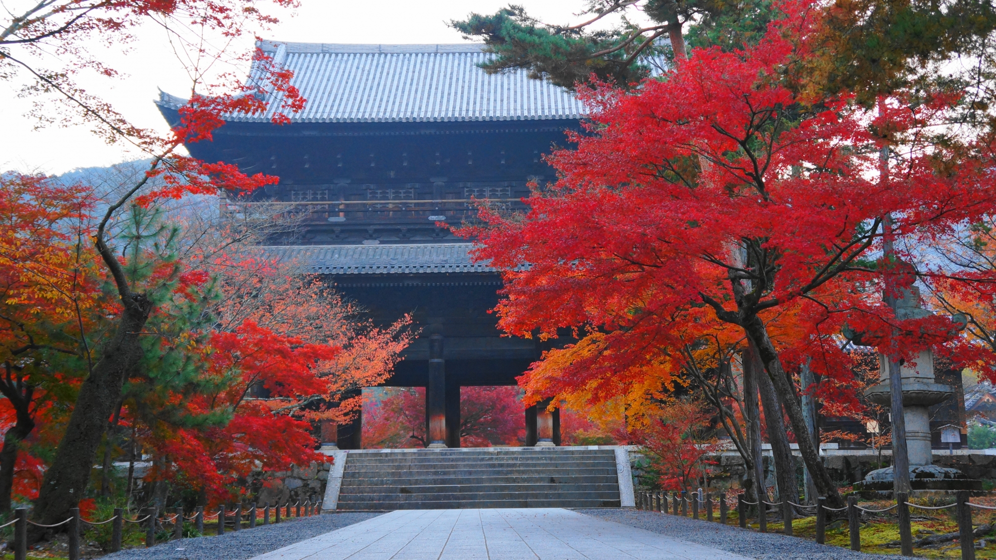圧倒的な紅葉と巨大な三門　鮮やかな秋の南禅寺