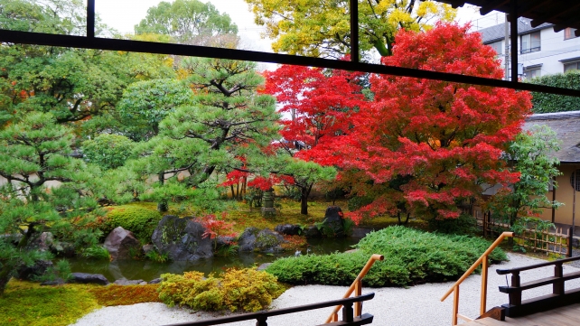 建仁寺塔頭の正伝永源院の方丈前庭園の美しい見ごろの紅葉