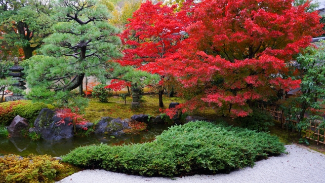 正伝永源院の方丈前池泉回遊式庭園の見ごろの紅葉
