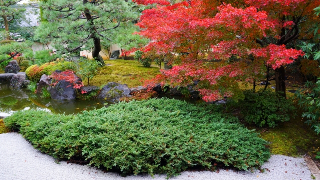 京都の紅葉の隠れ名所の正伝永源院の方丈前池泉回遊式庭園の見ごろの紅葉