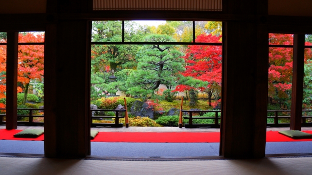 建仁寺塔頭の正伝永源院の方丈前池泉回遊式庭園の美しい見ごろの紅葉