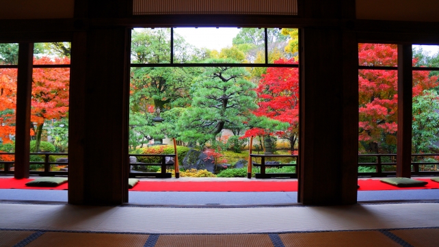 祇園の紅葉の穴場の正伝永源院の方丈前池泉回遊式庭園の見ごろの紅葉