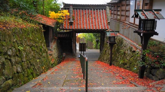 長楽寺の山門と見ごろの紅葉