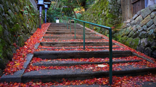 長楽寺の石段の鮮やかな紅葉