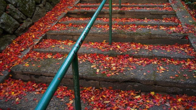 長楽寺の石段の綺麗な紅葉