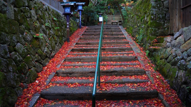 長楽寺の石段の見ごろの紅葉