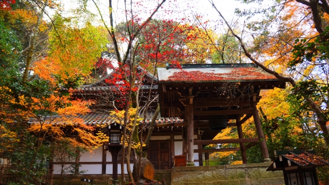 長楽寺の鐘楼と見ごろの紅葉