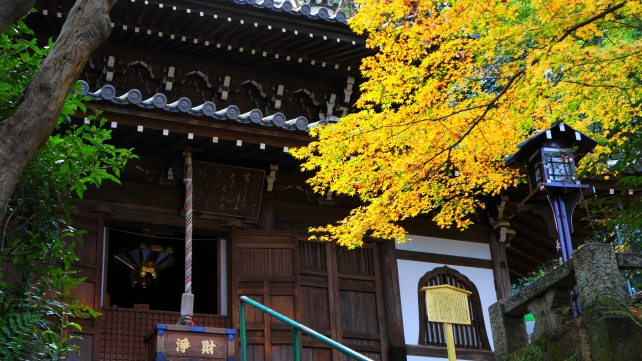 長楽寺の本堂と見ごろの優美な紅葉