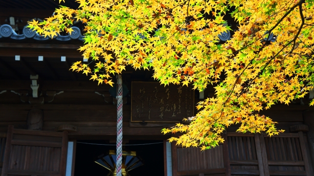 紅葉につつまれた長楽寺の本堂