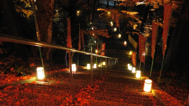 山科毘沙門堂の仁王門前石段の美しい紅葉ライトアップ