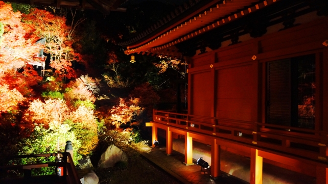紅葉につつまれた毘沙門堂の高台弁才天のライトアップ
