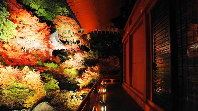 山科毘沙門堂の高台弁才天の優雅な紅葉ライトアップ