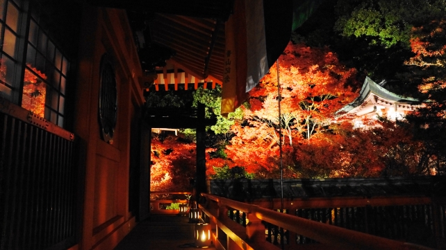 毘沙門堂の弁天堂の綺麗な紅葉ライトアップ