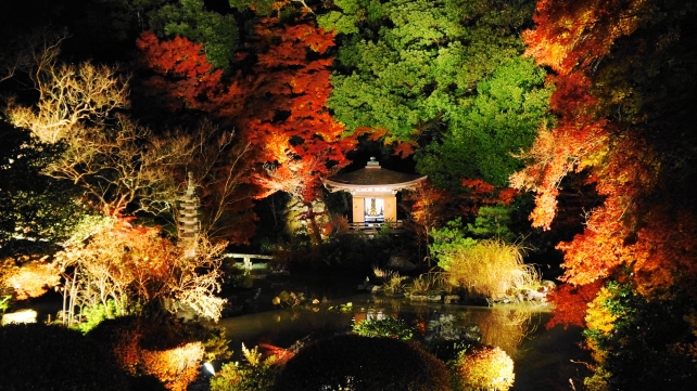 毘沙門堂の晩翠園の見事な紅葉ライトアップ