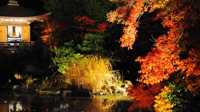 京都毘沙門堂の晩翠園の華やかな紅葉ライトアップ