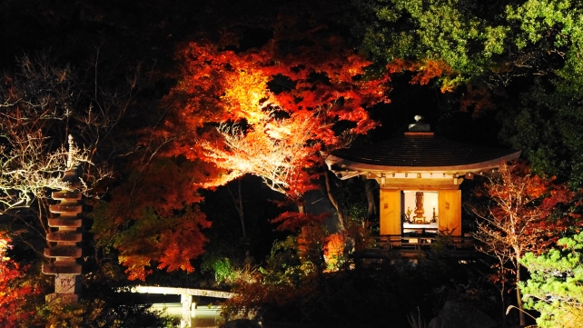 紅葉の名所の毘沙門堂の晩翠園の美しい紅葉ライトアップ