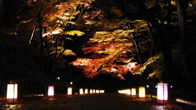 京都毘沙門堂の勅使門前石段の見ごろの紅葉ライトアップ