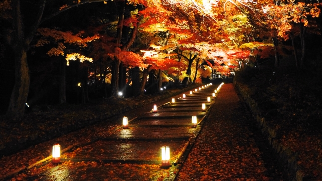 毘沙門堂の勅使門前石段の見ごろの紅葉ライトアップ 11月25日