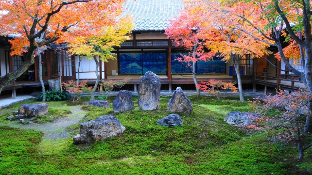 建仁寺の苔と岩の潮音庭の美しい紅葉
