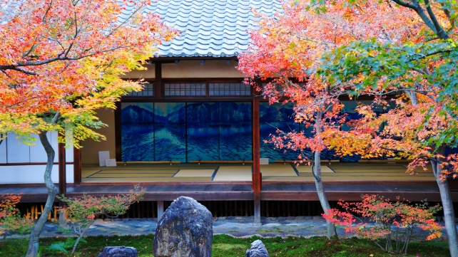 京都の紅葉の名所の建仁寺の潮音庭の見ごろの優雅な紅葉