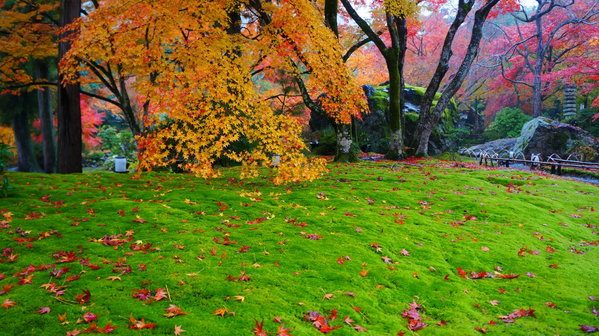 宝厳院の淡い緑の苔と色とりどりの紅葉