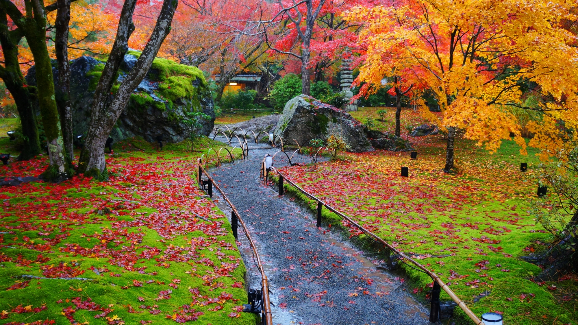 宝厳院の緑と岩と紅葉の絶景