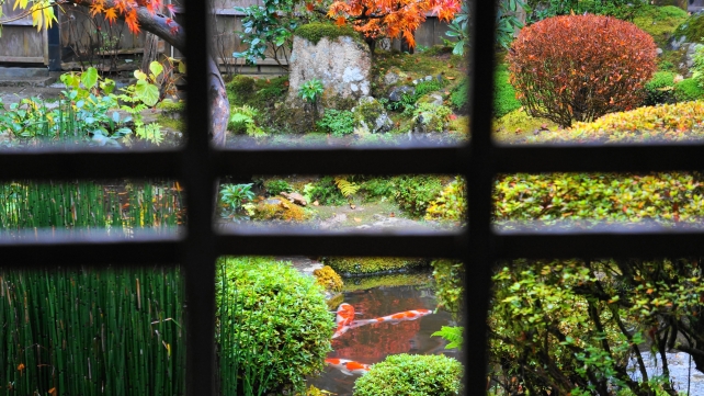 宝泉院の鶴亀庭園の紅葉