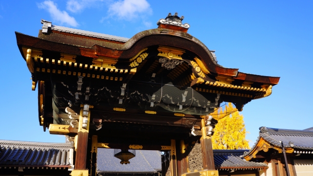 西本願寺の阿弥陀堂門と見ごろの銀杏