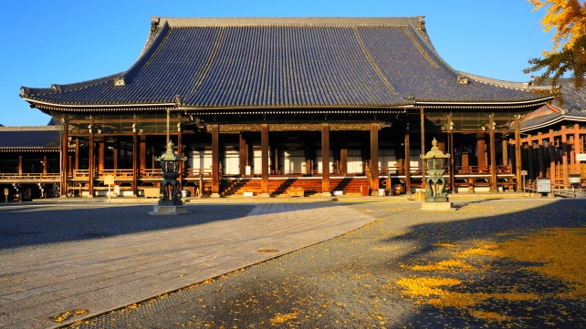 西本願寺の阿弥陀堂と見頃の銀杏